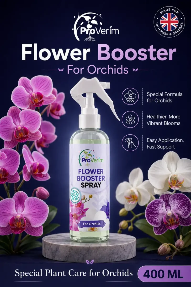 5 A5 Flyer2 Back Side Flower Booster for Orchids