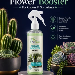 5 A5 Flyer3 Back Side Succulent and Cactus Care