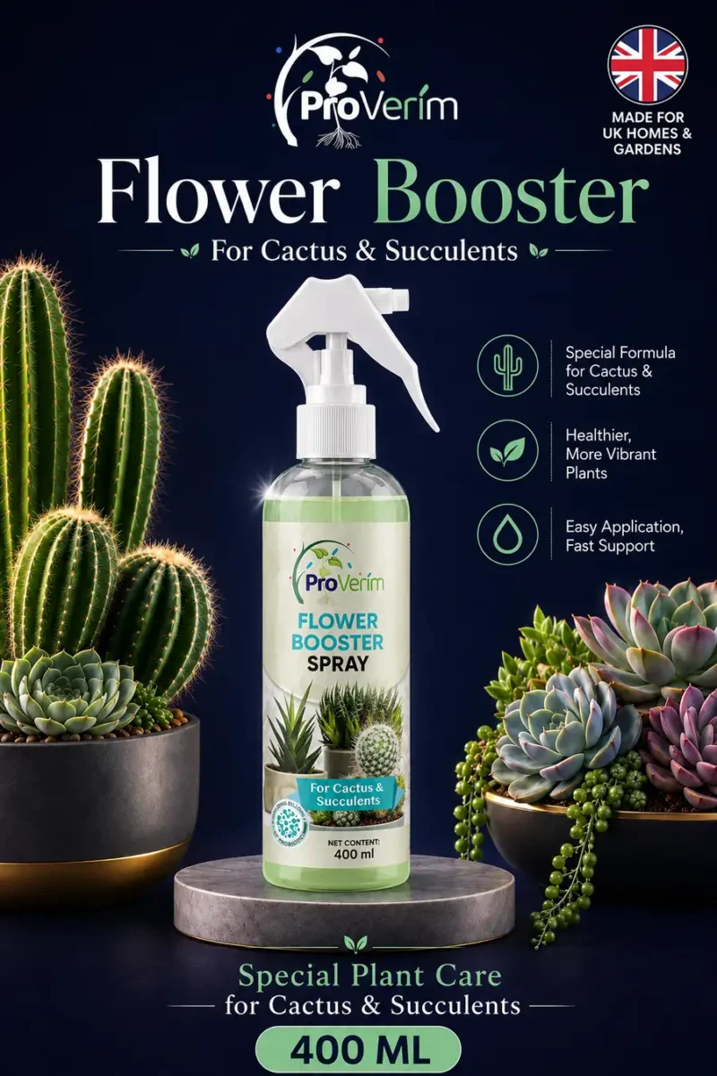 5 A5 Flyer3 Back Side Succulent and Cactus Care