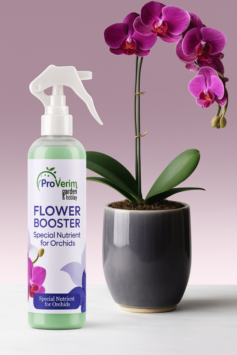 Flower Booster for Orchids