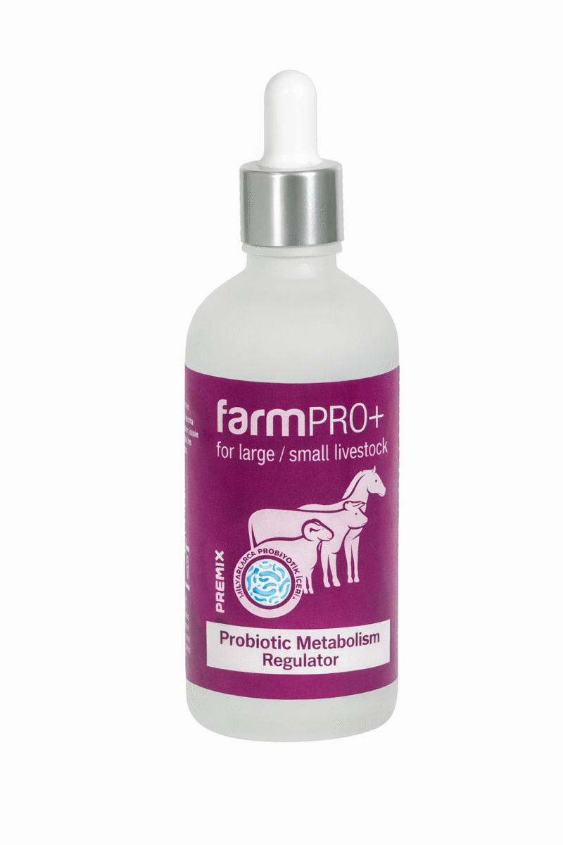 Metabolism Regulator for Large / Small Livestock