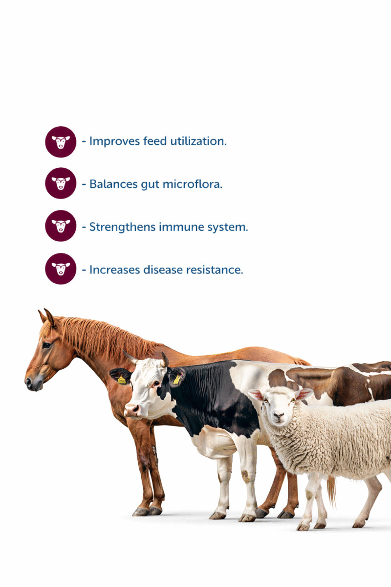 Metabolism Regulator for Large / Small Livestock
