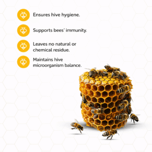Probiotic Beehive Spray