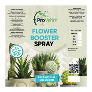 Succulent and Cactus Care