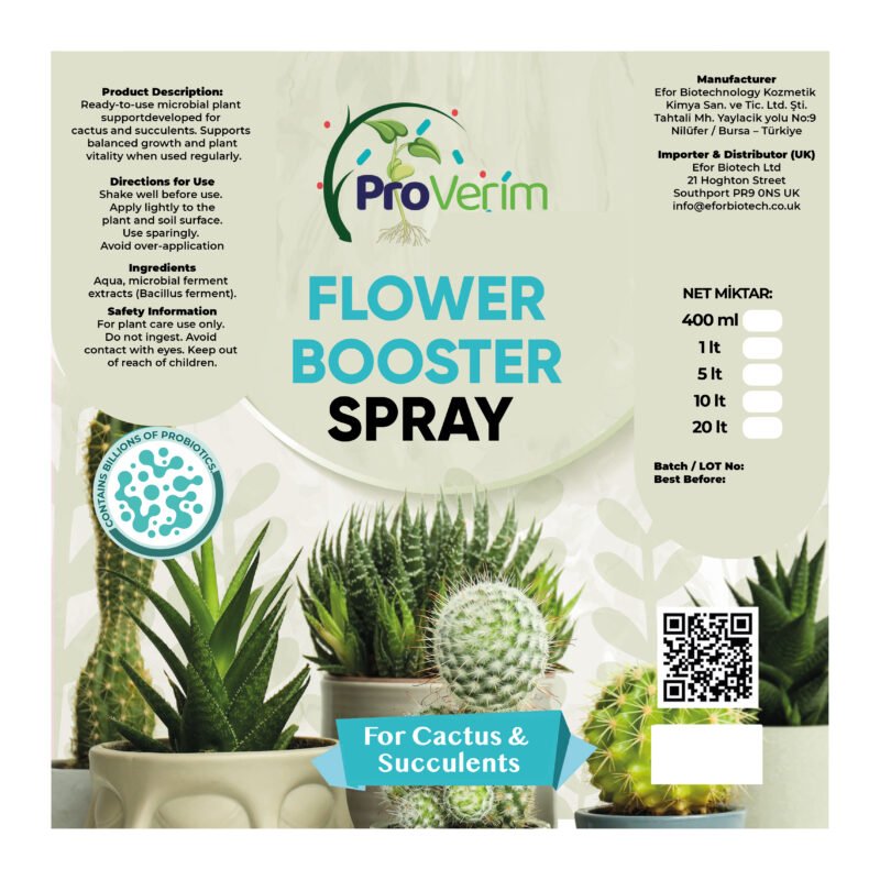 Succulent and Cactus Care