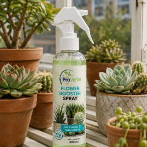 Kaktus3 Succulent and Cactus Care