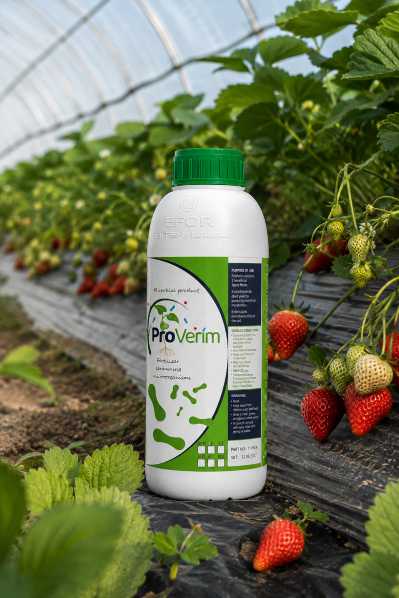 Proverim1L5 Fertilizer Containing Microorganisms 1L